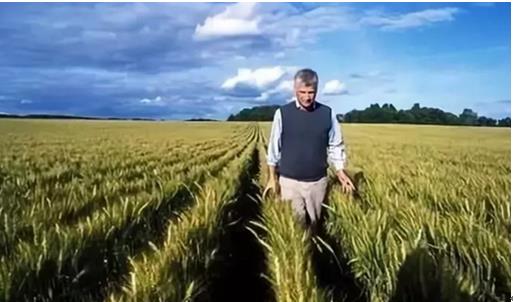 �����r�I(y��)